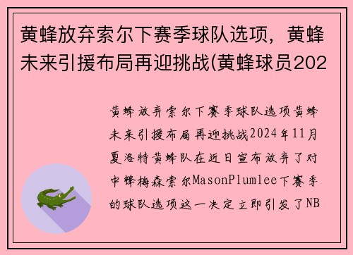 黄蜂放弃索尔下赛季球队选项，黄蜂未来引援布局再迎挑战(黄蜂球员2021)